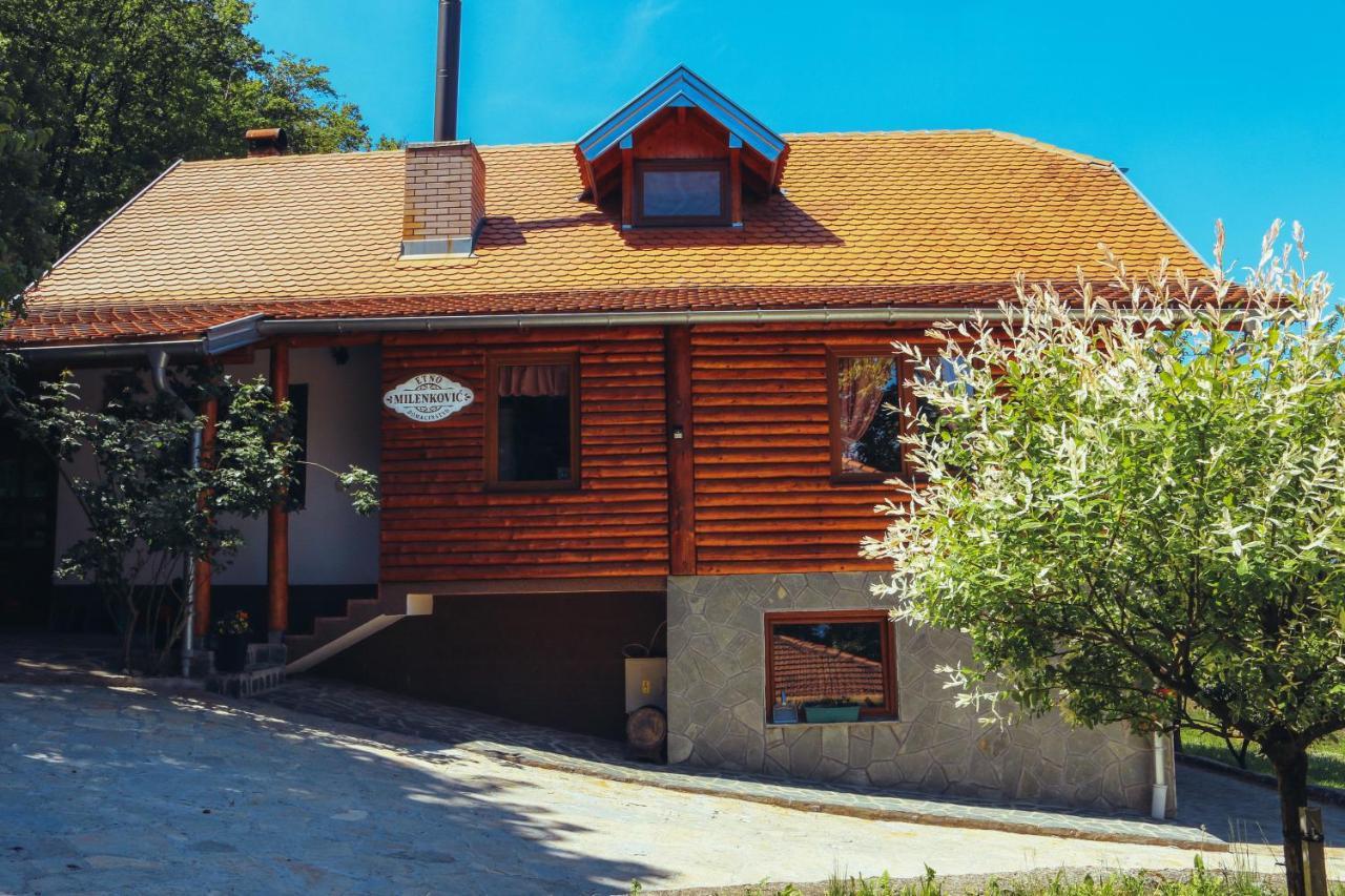 Etno Domacinstvo Milenkovic Vila Despotovac Exterior foto