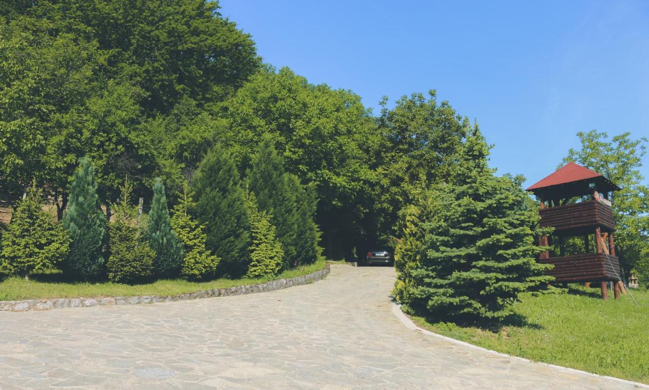 Etno Domacinstvo Milenkovic Vila Despotovac Exterior foto