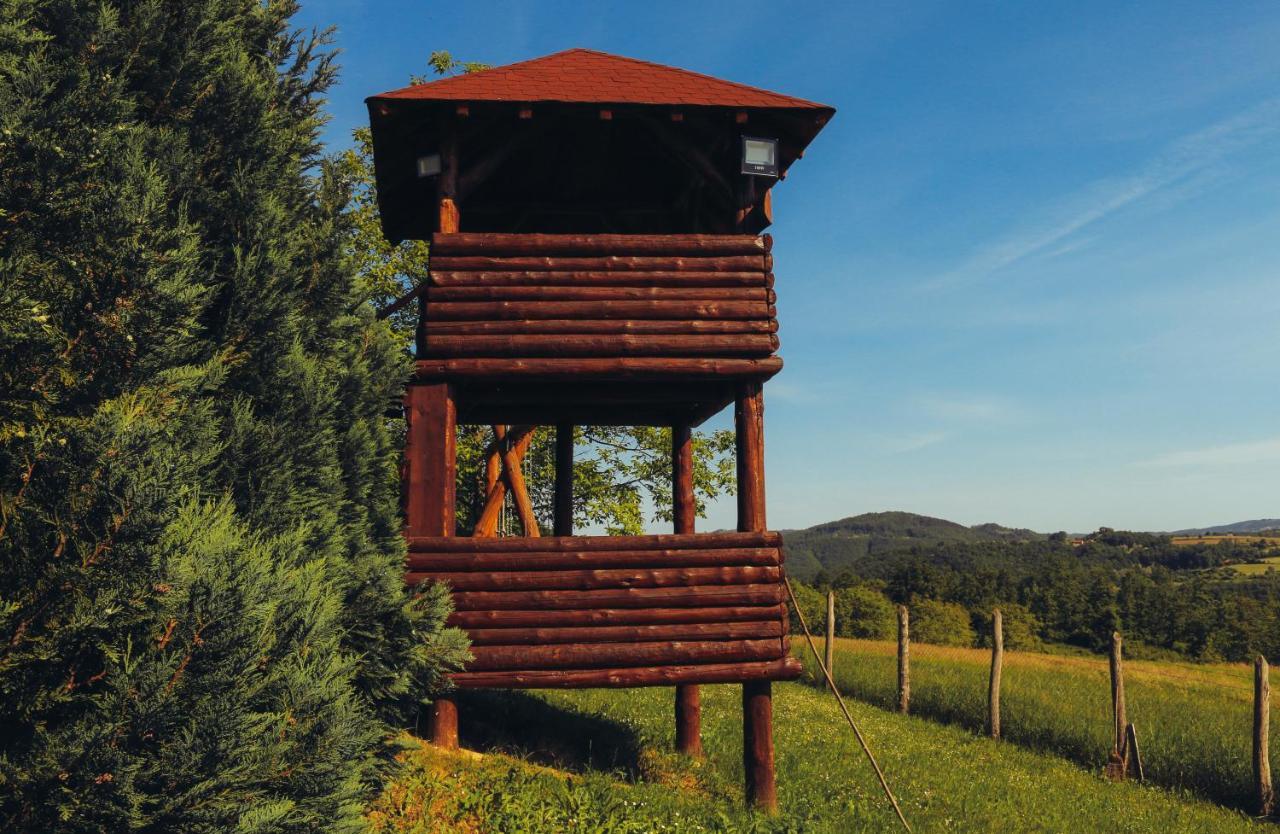 Etno Domacinstvo Milenkovic Vila Despotovac Exterior foto